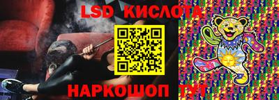 ПСИЛОЦИБИНОВЫЕ ГРИБЫ Заволжье